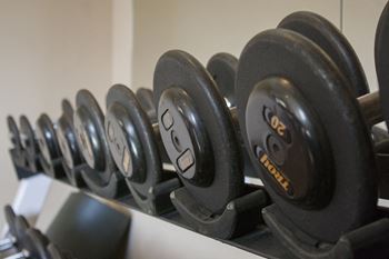 Severgn Free Weights